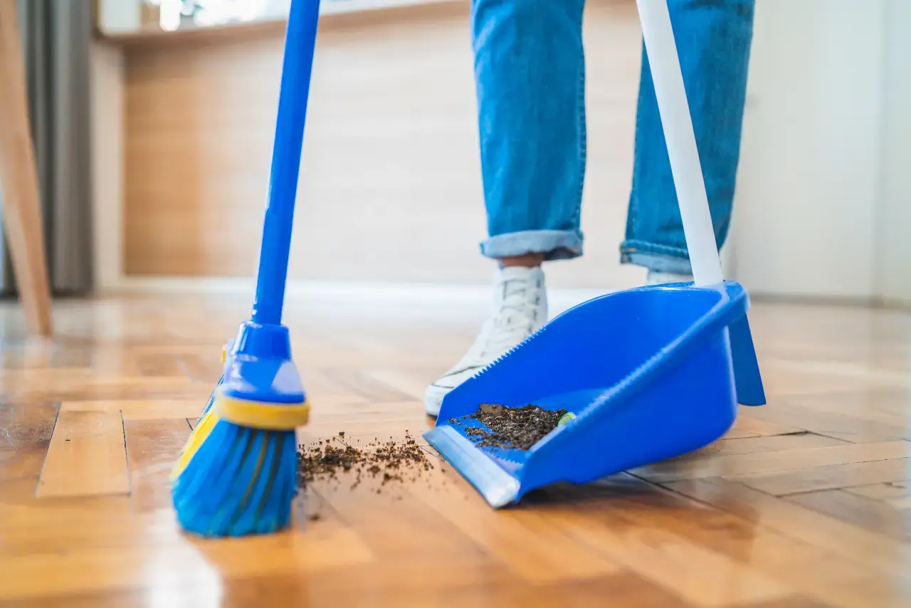 Dust returning quickly after cleaning in a New York home
