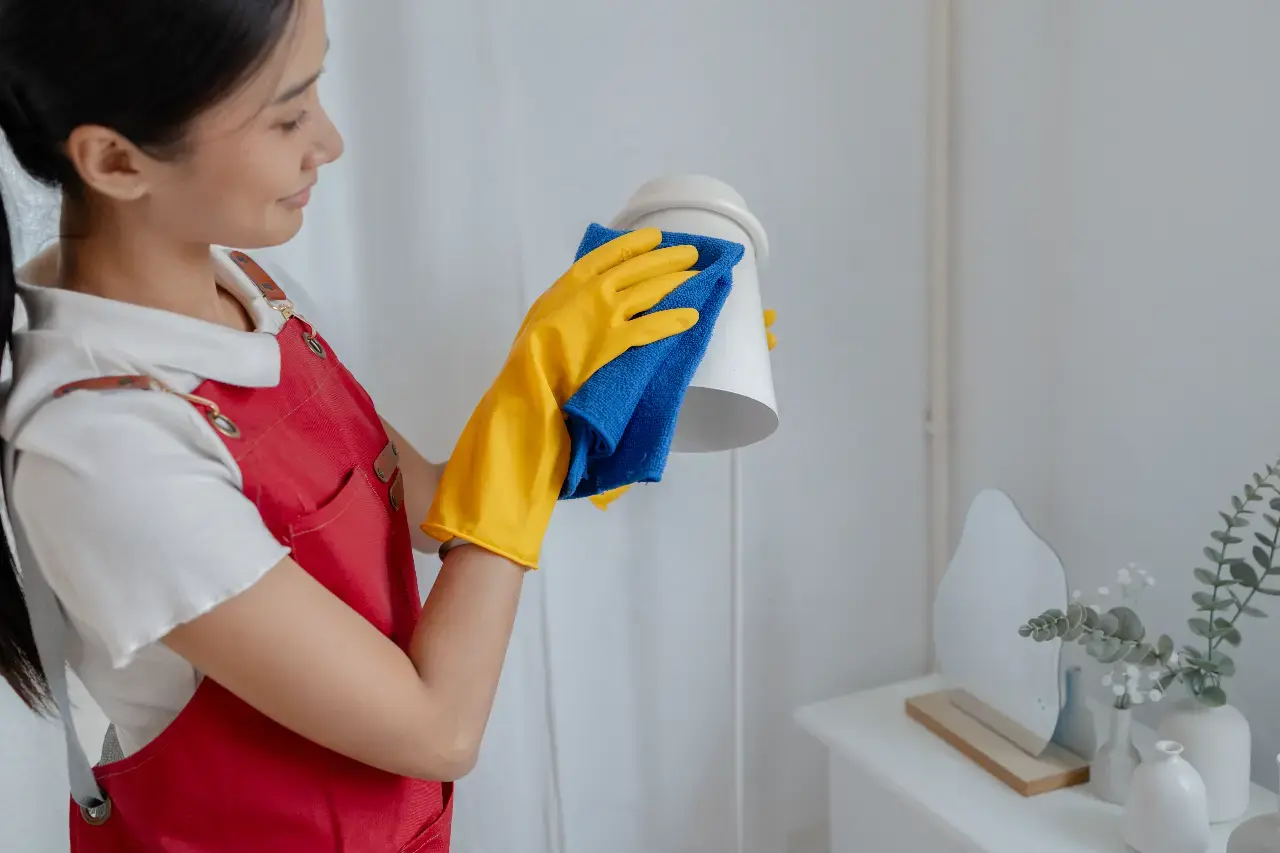 Oven interior deep cleaning in a New York home