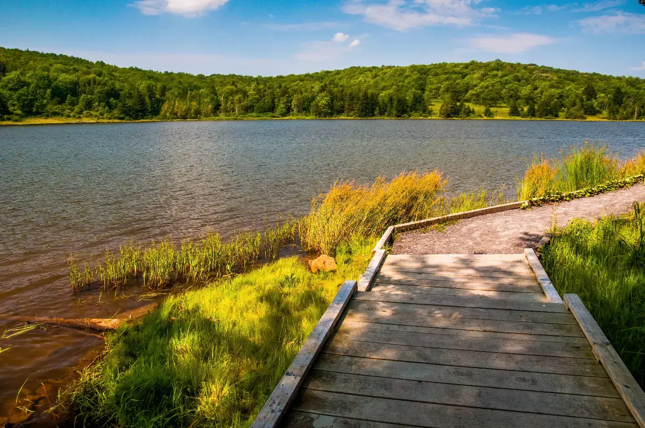 Cleaning services in Greenwood Lake, NY